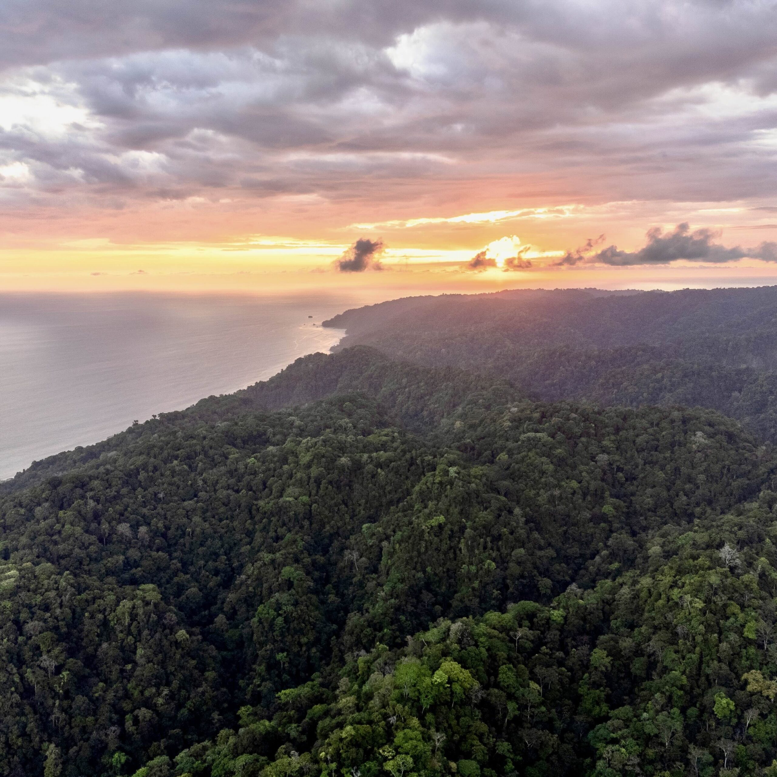 Aguila de Osa Rainforest & Marine Adventure Lodge