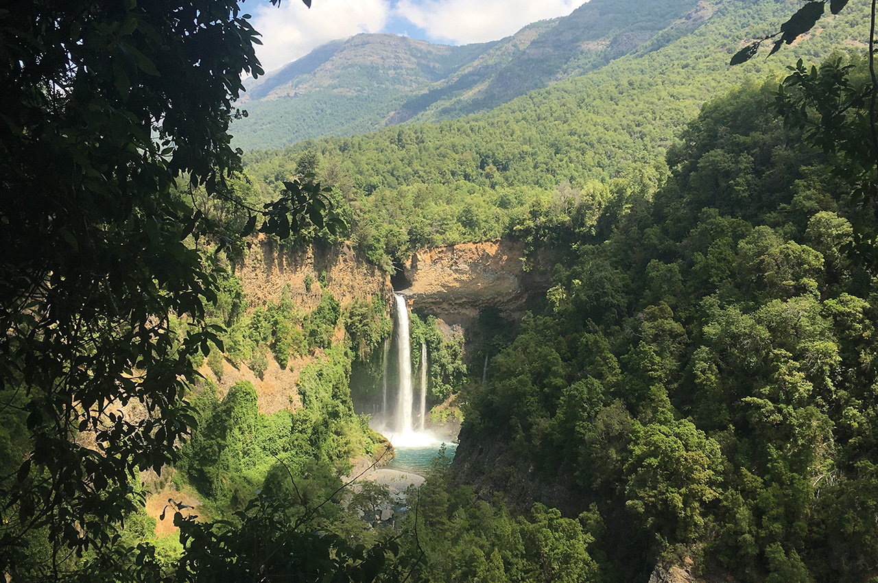 Copa de Árbol Beach & Rainforest Resort